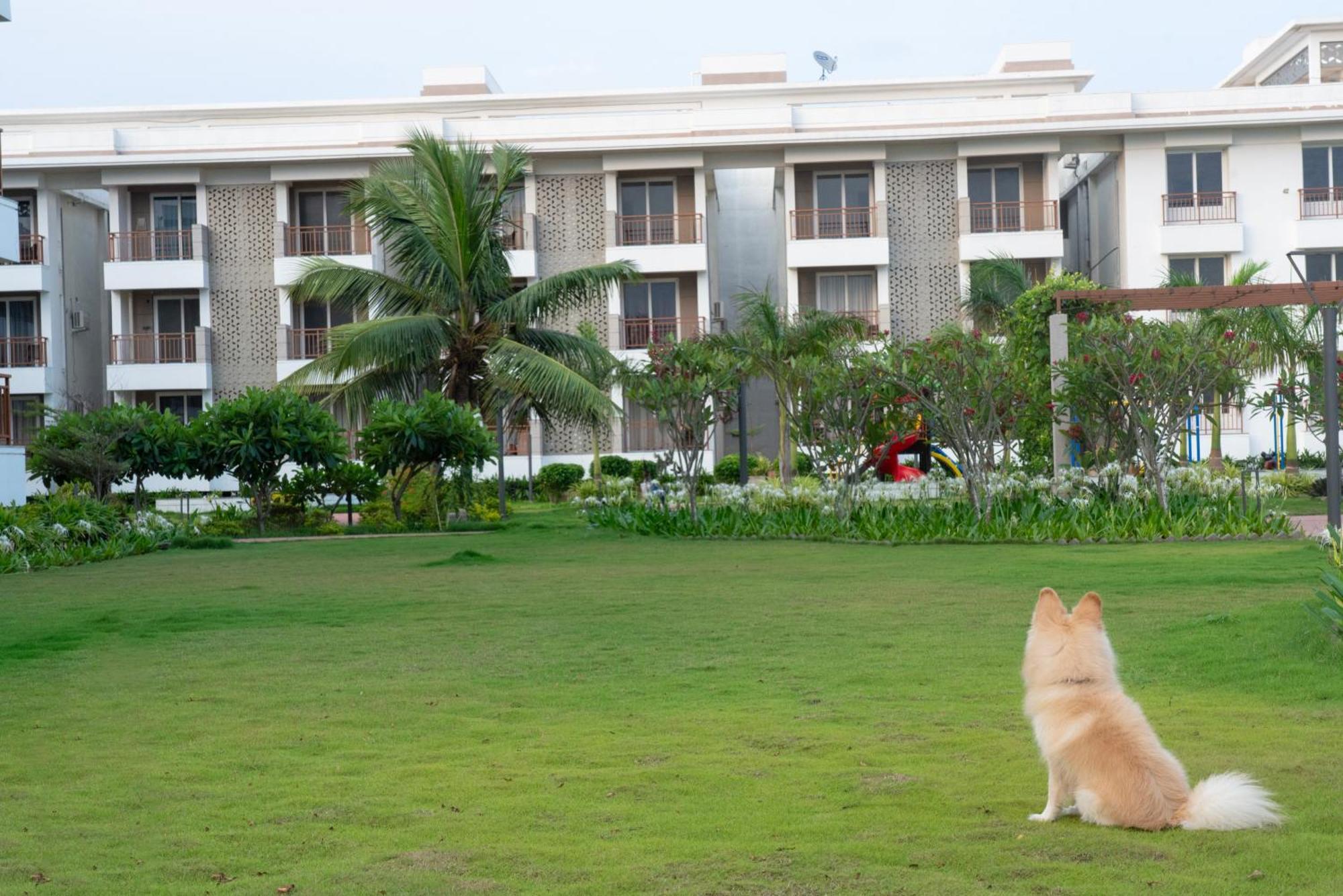 Palm Regal Resort Gopalpur  Exterior photo
