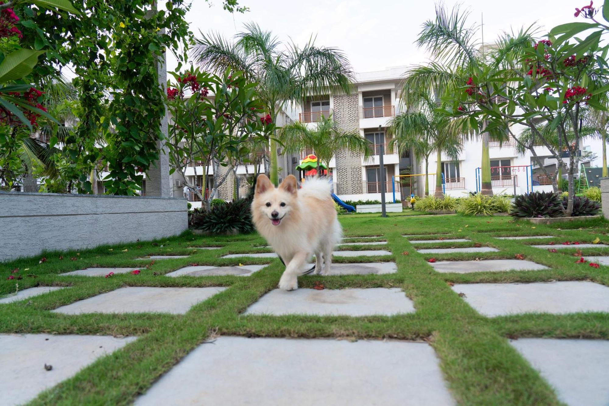 Palm Regal Resort Gopalpur  Exterior photo